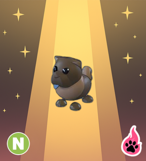 Neon Chocolate Chow-Chow
