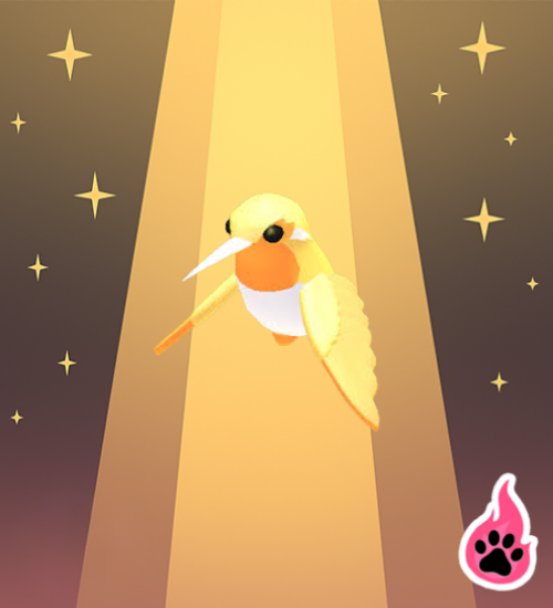 Golden Hummingbird