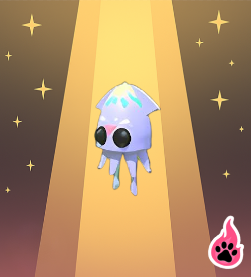 Squid