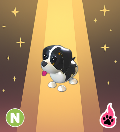 Neon Black Springer Spaniel