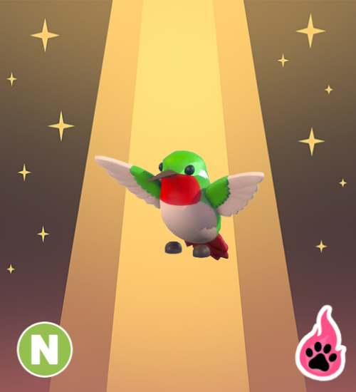 Neon Hummingbird