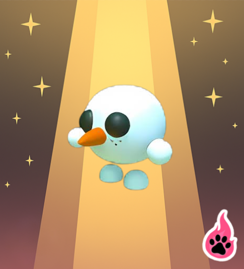 Snowball Pet