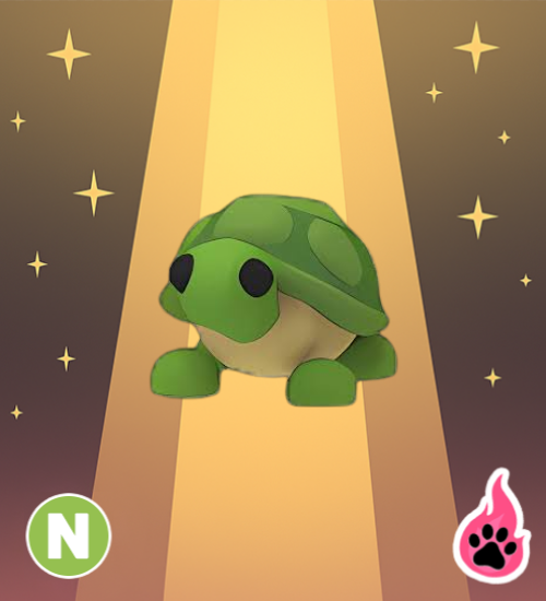 Neon Turtle