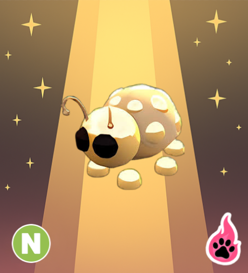 Neon Golden Ladybug