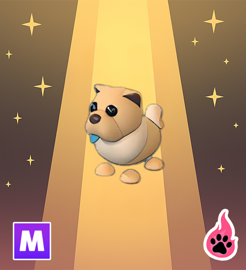 Mega Tan Chow Chow