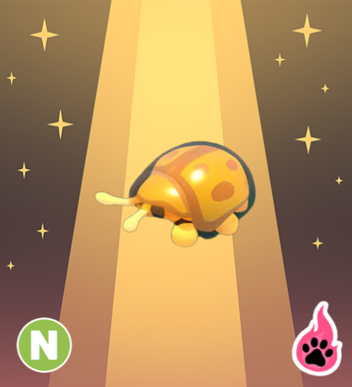 Neon Golden Tortoise Beetle
