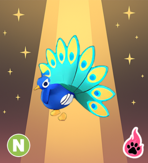 Neon Peacock