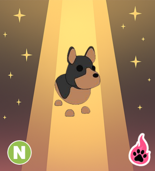 Neon Australian Kelpie