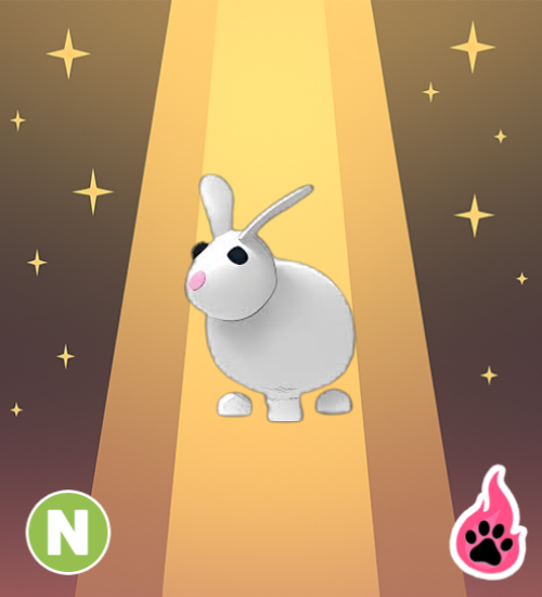 Neon Rabbit