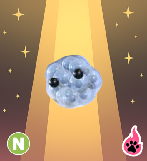 Neon Frogspawn