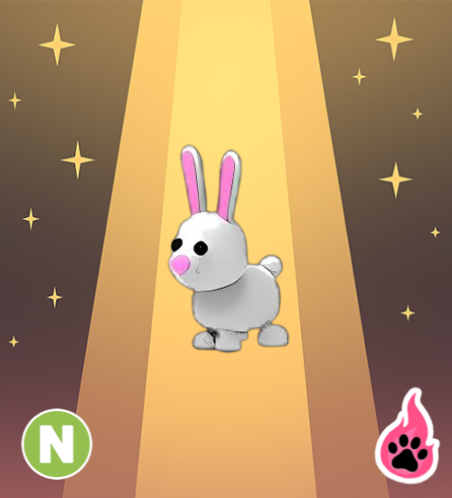 Neon Bunny