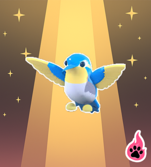 Diamond Hummingbird