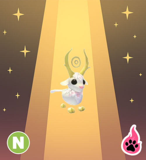 Neon Goldhorn