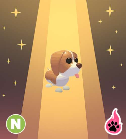 Neon Brown Springer Spaniel