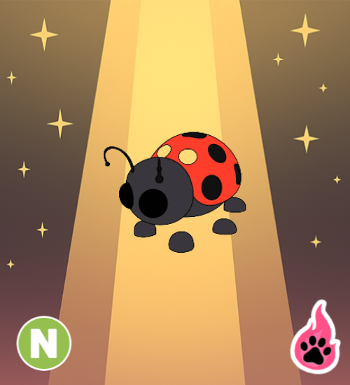 Neon Ladybug