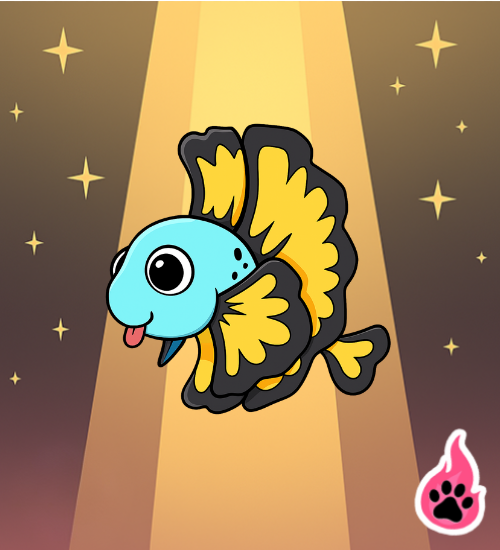 Blue Beta Fish