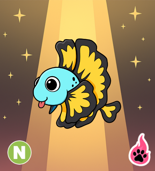 Neon Blue Betta Fish