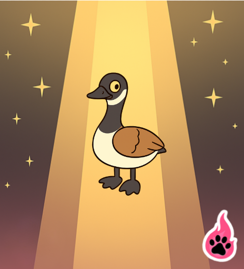 Canadian Goose