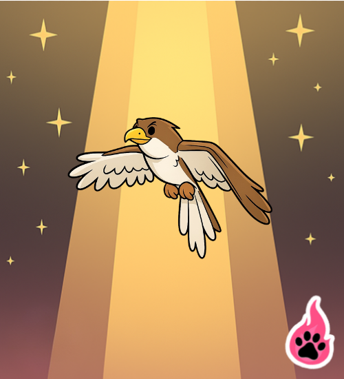Hawk