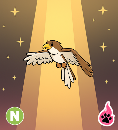 Neon Hawk