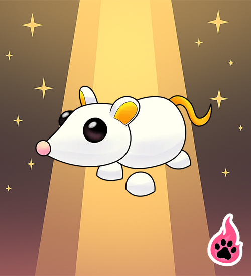 Golden Rat