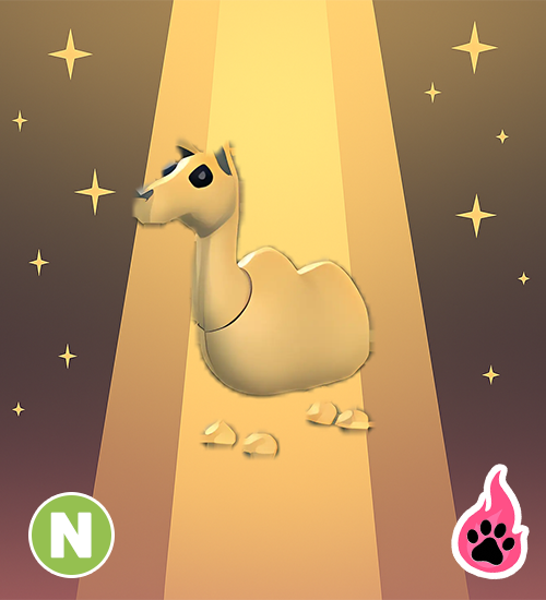Neon Camel