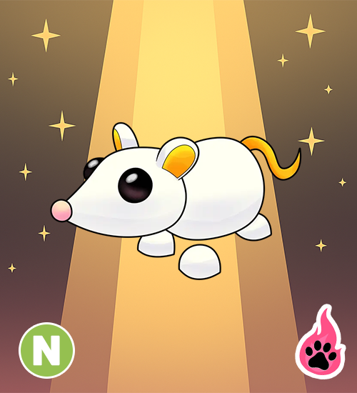 Neon Golden Rat