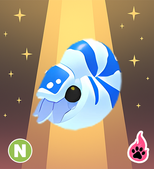 Neon Nautilus