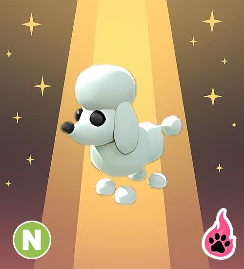 Neon Poodle