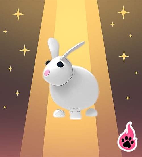 Rabbit