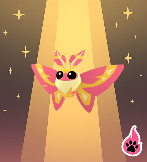 Rosy Maple Moth